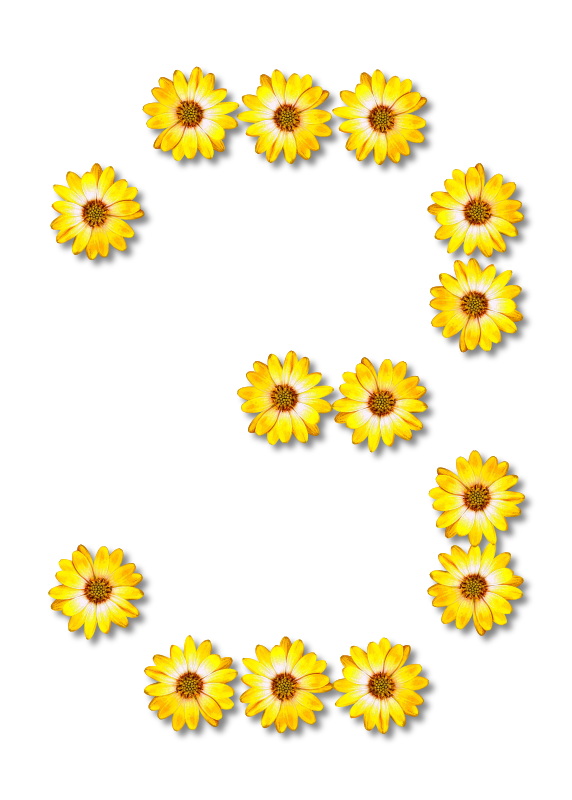 Floral alphabet, 3