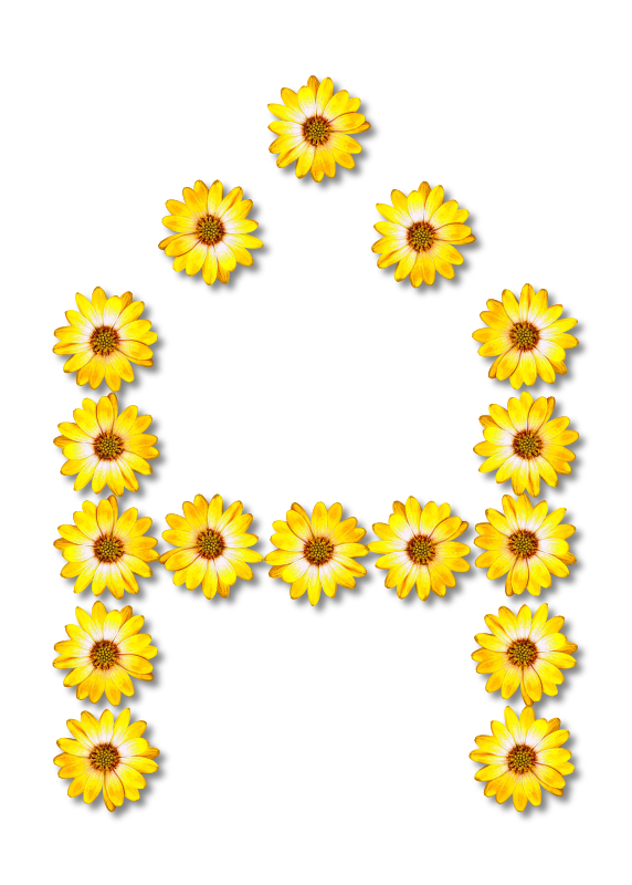 Floral alphabet, A