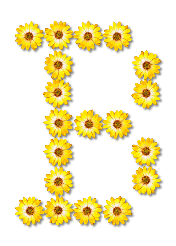 Floral alphabet, B