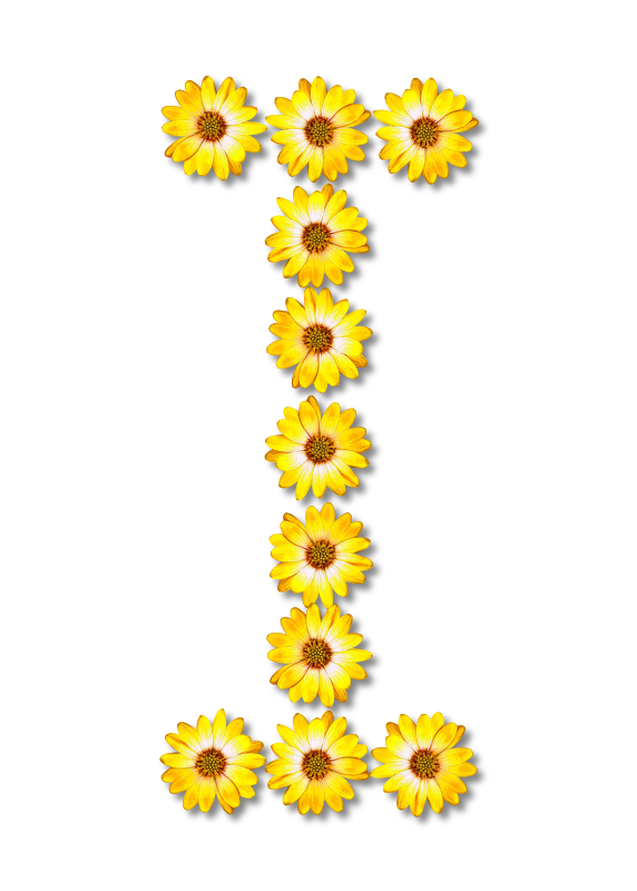 Floral alphabet, I