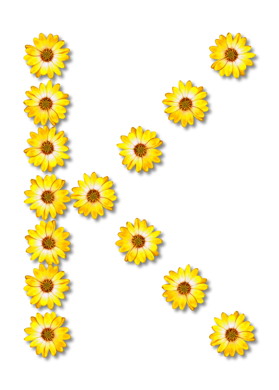 Floral alphabet, K