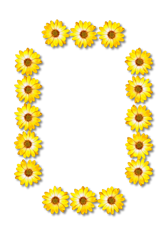 Floral alphabet, O