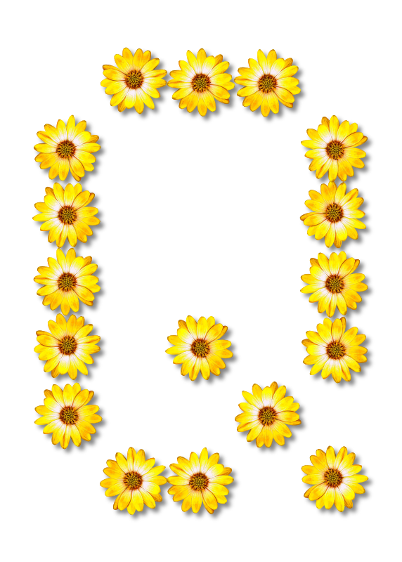 Floral alphabet, Q