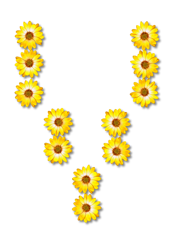 Floral alphabet, V