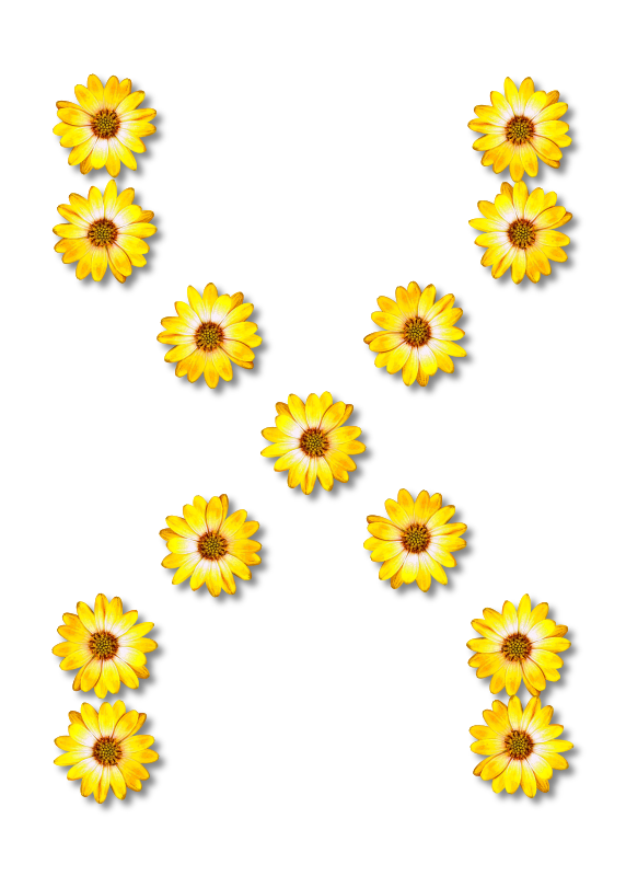 Floral alphabet, X