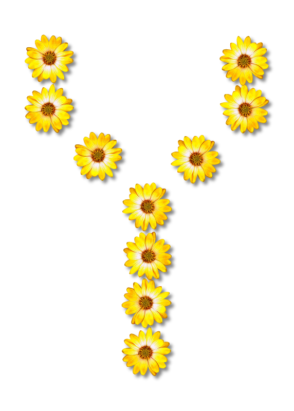 Floral alphabet, Y