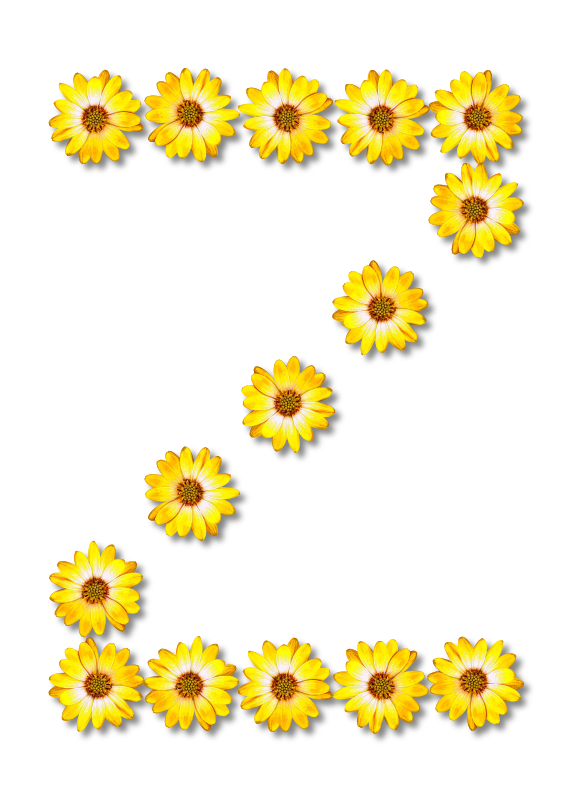 Floral alphabet, Z