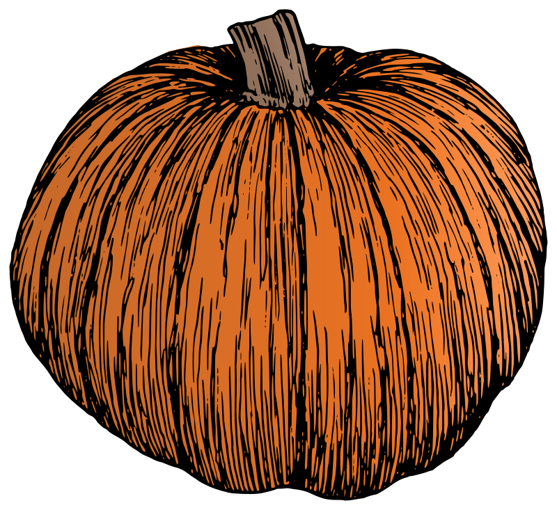 Pumpkin - Colour