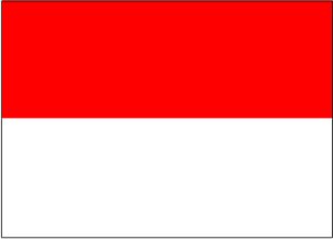 bendera merah putih flag