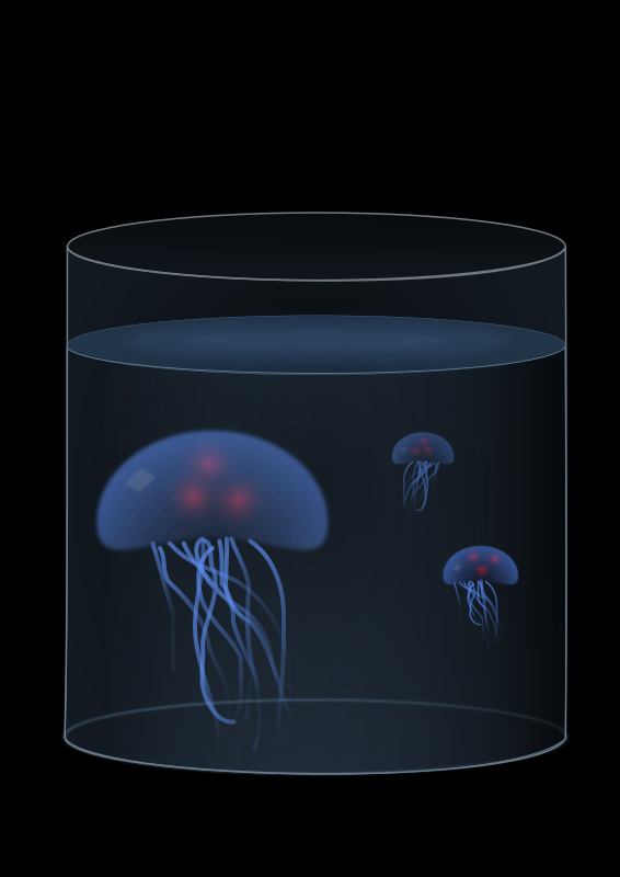 jellyfish tank