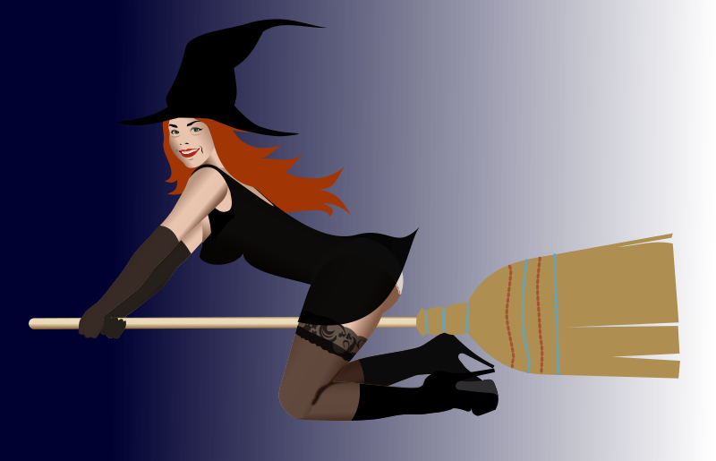 Witch on broom 2 by Rones