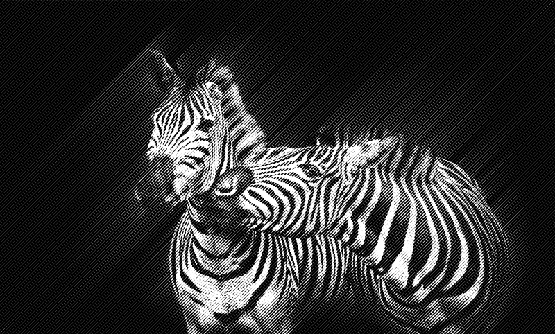 halftone zebra