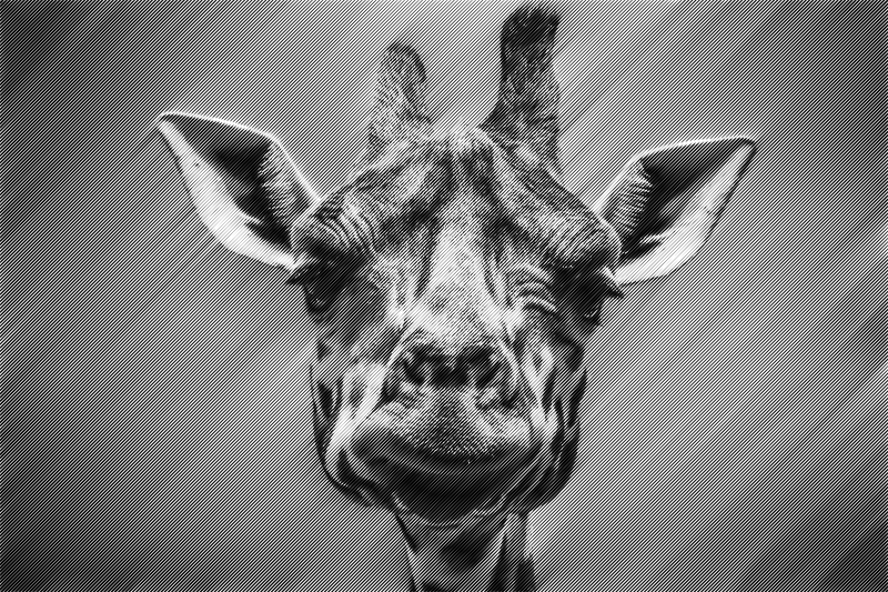 halftone giraffe