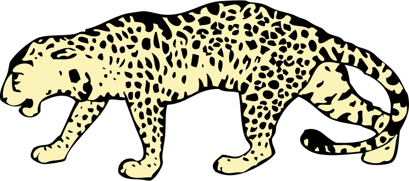 leopard