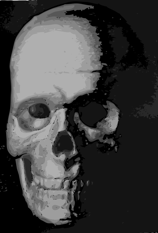 Skull 8c