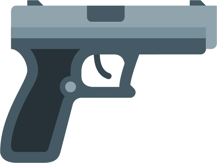 Gun