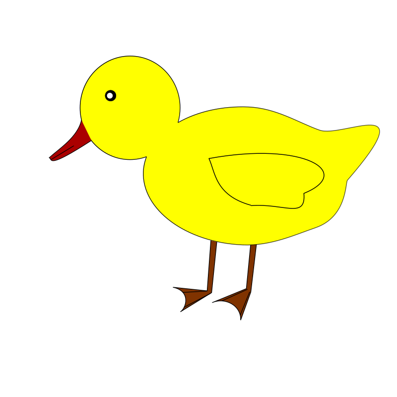 duck