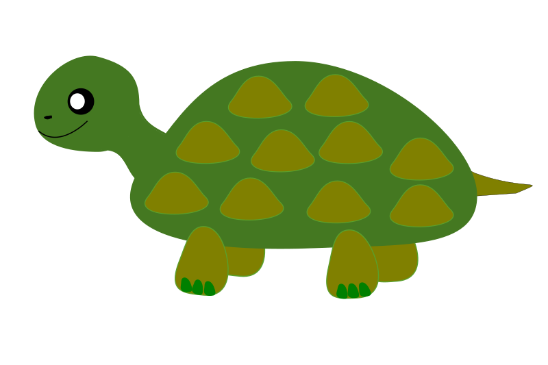 turtle