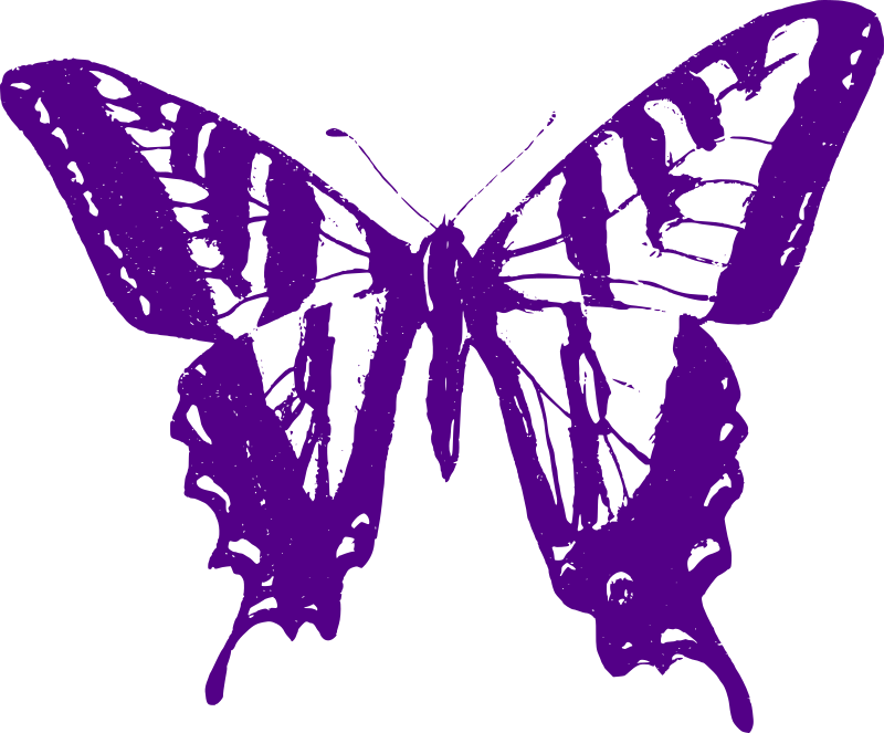 Purple Butterfly