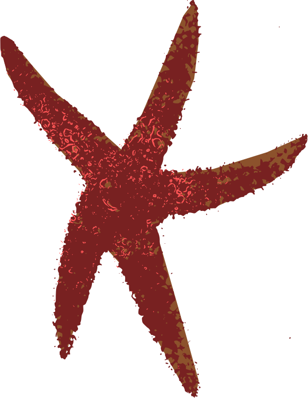 Sea Star