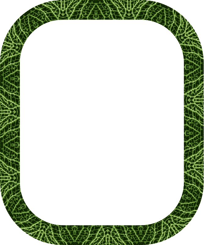 Cabbage frame