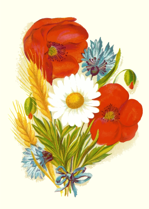 Autumn flowers - Openclipart