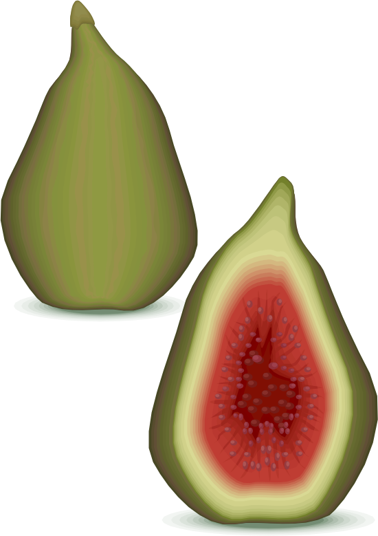 figs