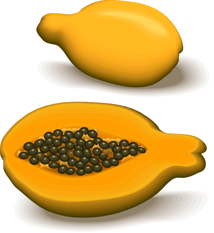 papaya