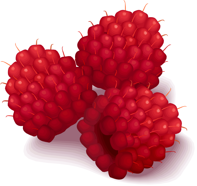 raspberries