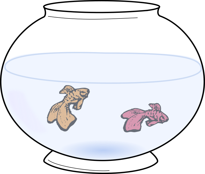 Fish Bowl with Fish