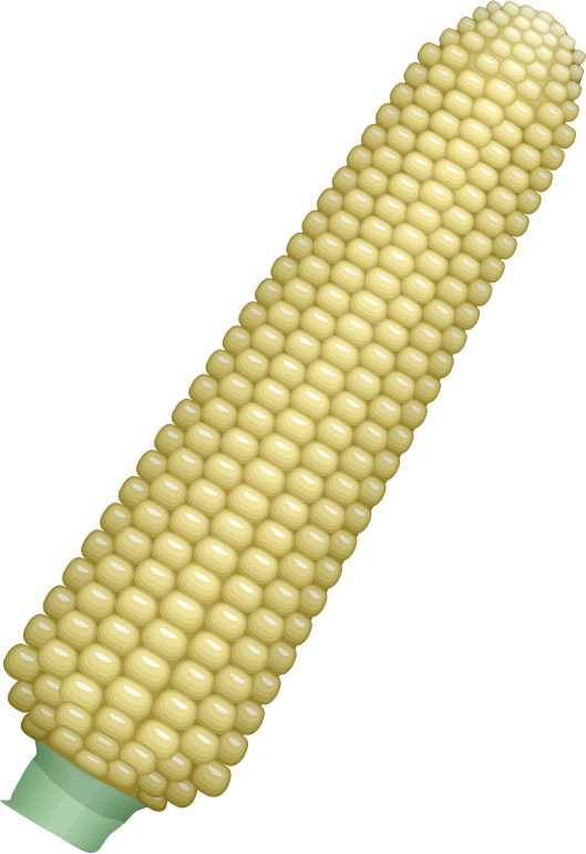 corn