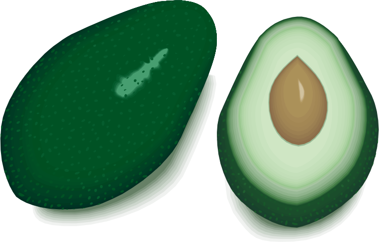 avocado