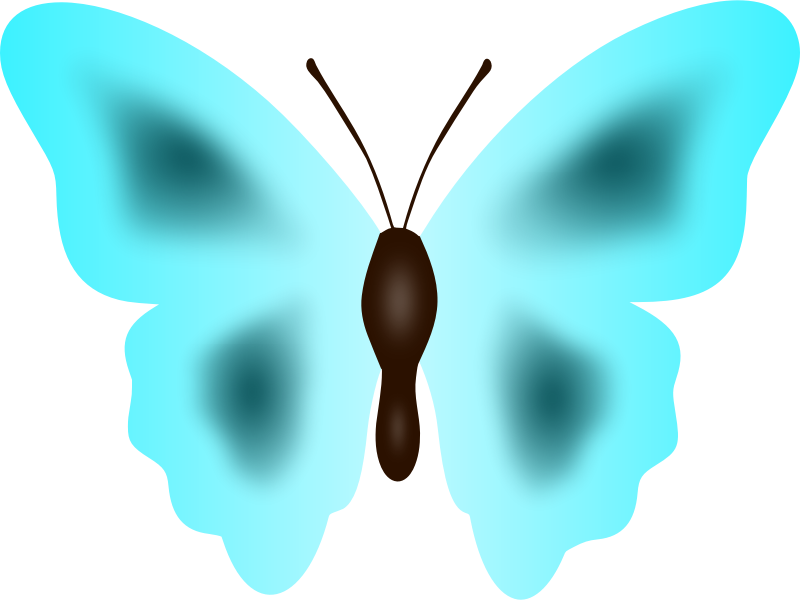 Butterfly 33 (colour 4)