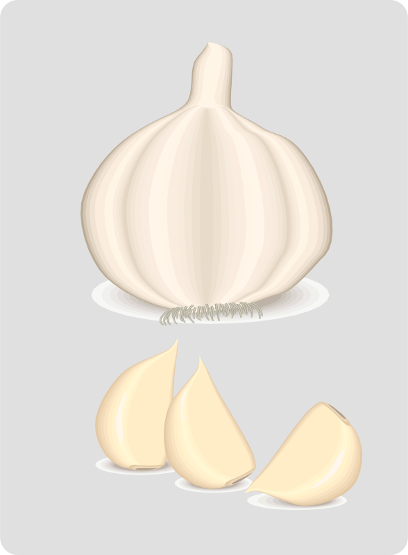 garlic