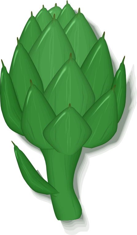 artichoke