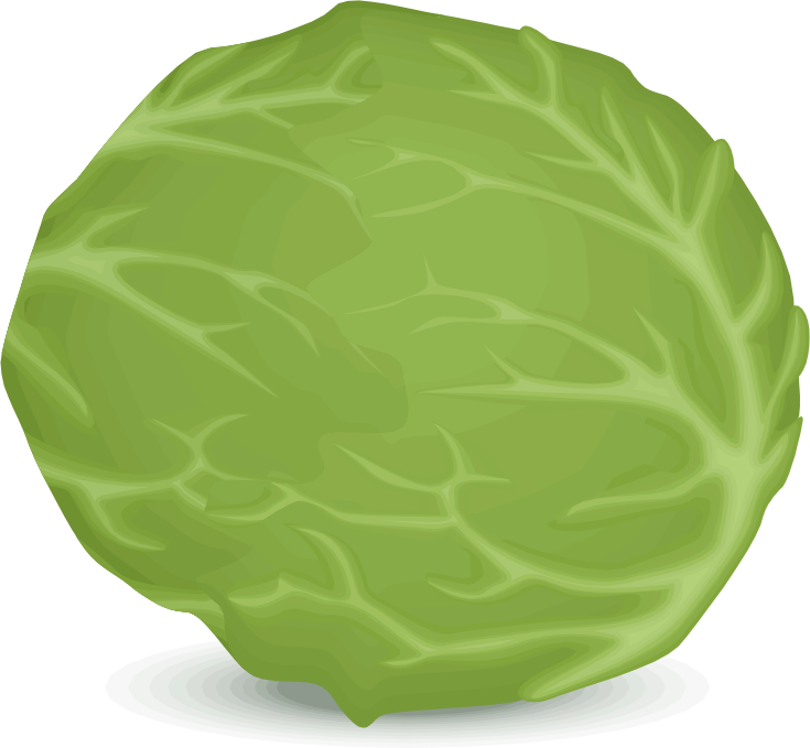 iceberg lettuce