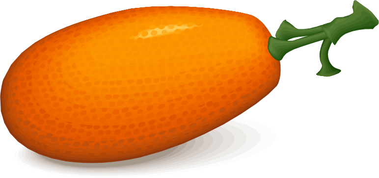 persimmon