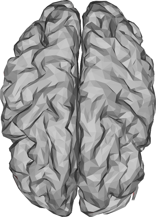 Low Poly 3D Brain