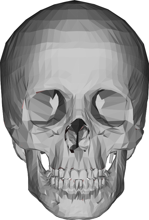 3D Low Poly Skull