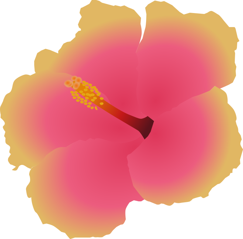 Hibiscus