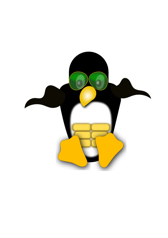 Linux Logo Penguin