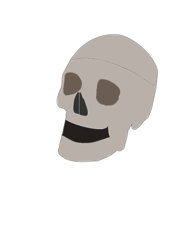 czaszka,skull