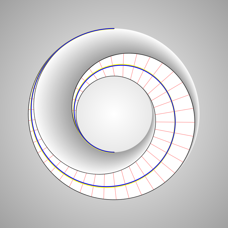  two sided ring 6