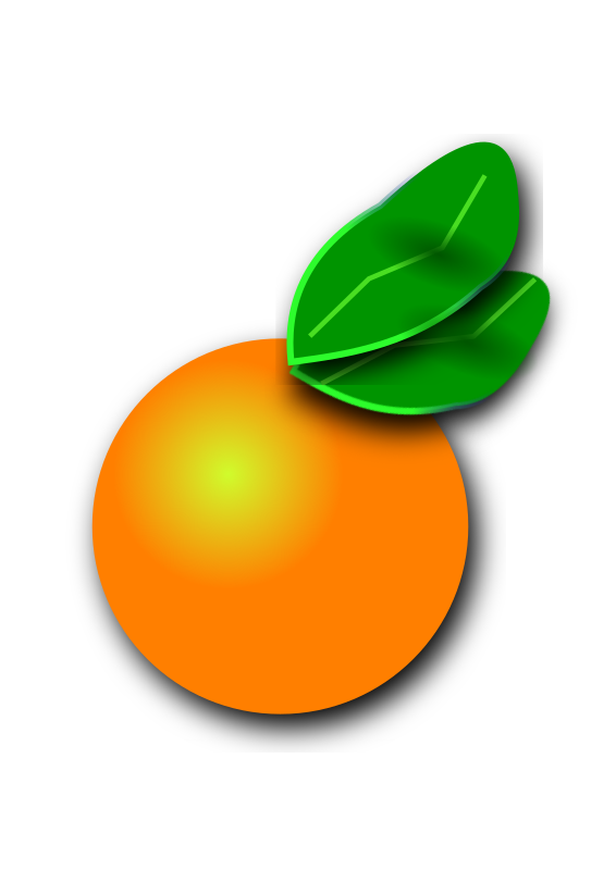 Florida Orange Citrus