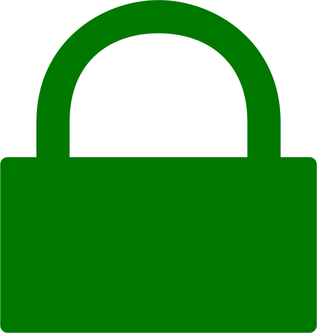 secure connection icon