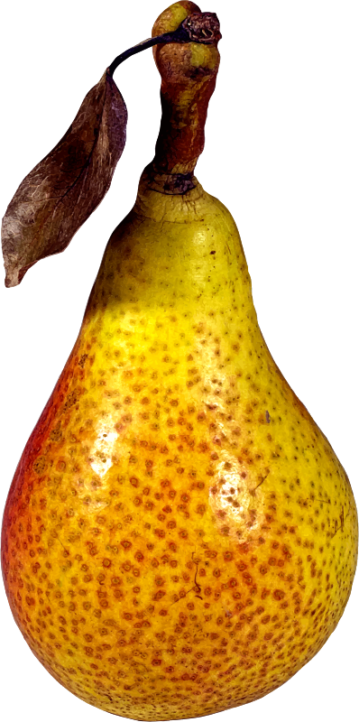 Pear 2