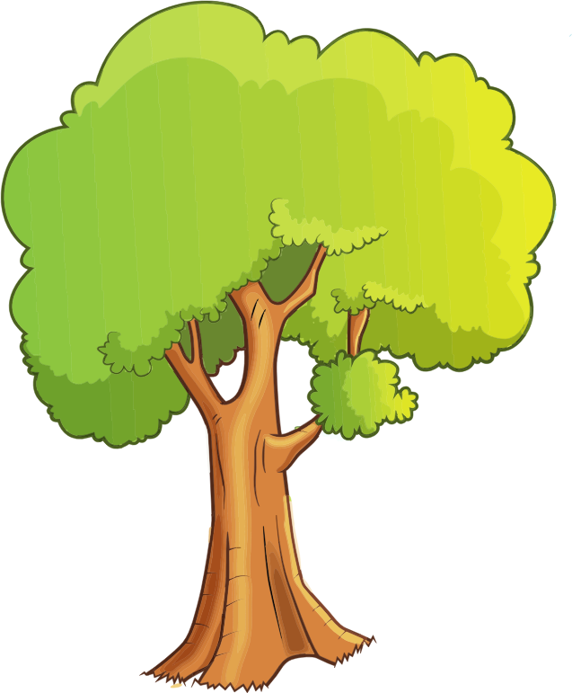 Cartoon Tree Isolated