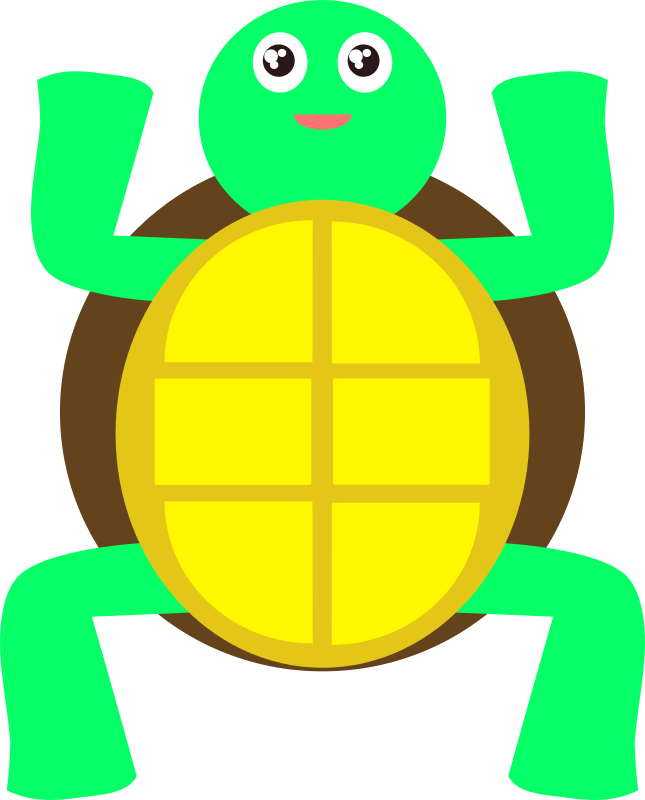 cute turtle