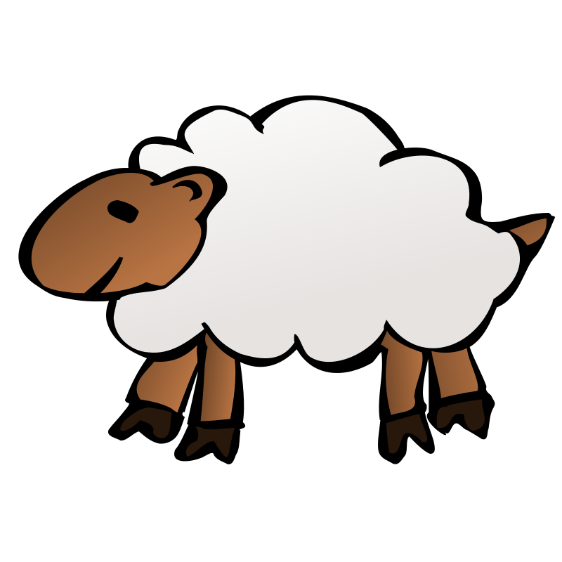 Sheep