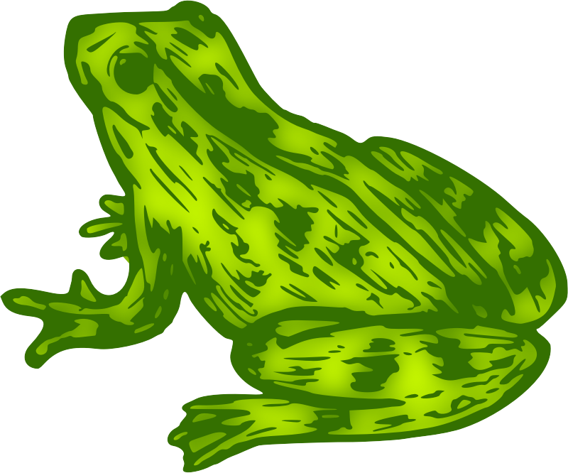 Frog 9 (colour)